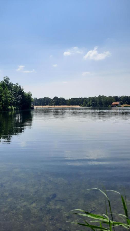 Seestern - Ferienhaus Am Quendorfer See Schuttorf Bagian luar foto