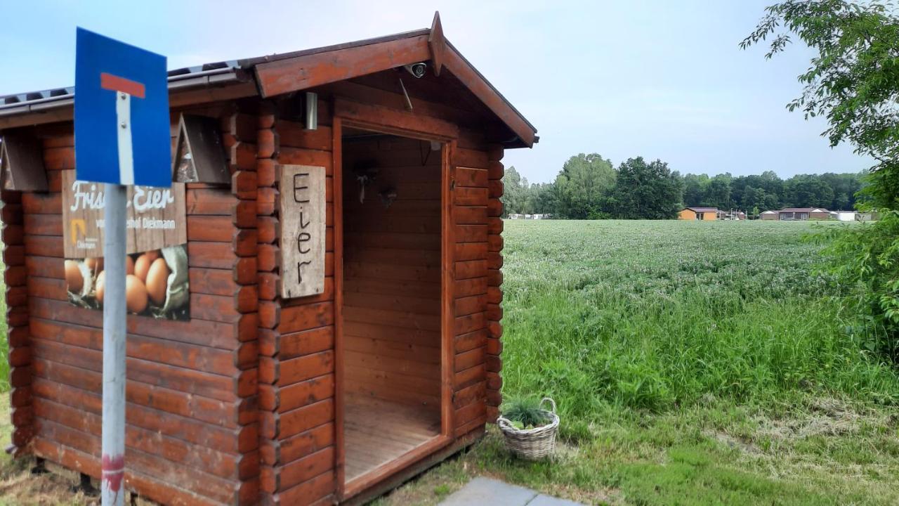 Seestern - Ferienhaus Am Quendorfer See Schuttorf Bagian luar foto