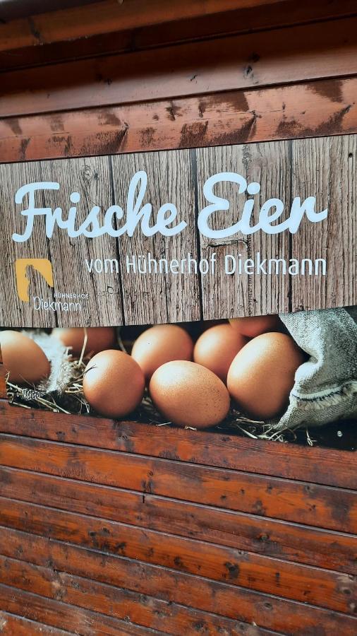 Seestern - Ferienhaus Am Quendorfer See Schuttorf Bagian luar foto